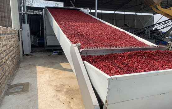 辣椒帶式烘干機